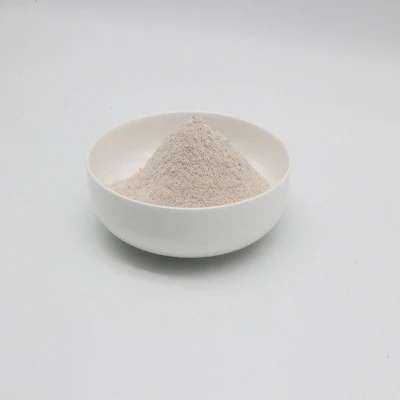 Manufacturer Supply Feed Grade Clostridium Butyricum Dietary Supplement