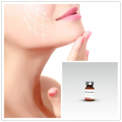 Stabilized Liquid Hyaluronic Acid Injection Hydrolifting Meso Skin Meso Face Injection